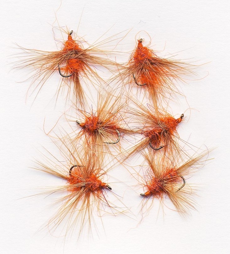 Powell's Orange Otters - Brown Hackles.jpg