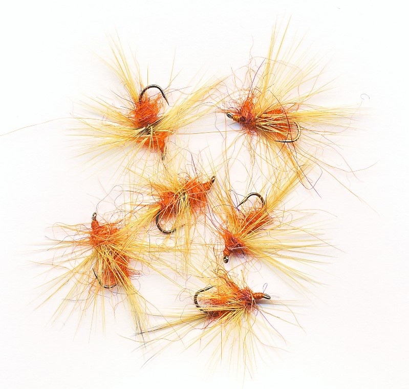 Powell's Orange Otters - Ginger Hackles.jpg