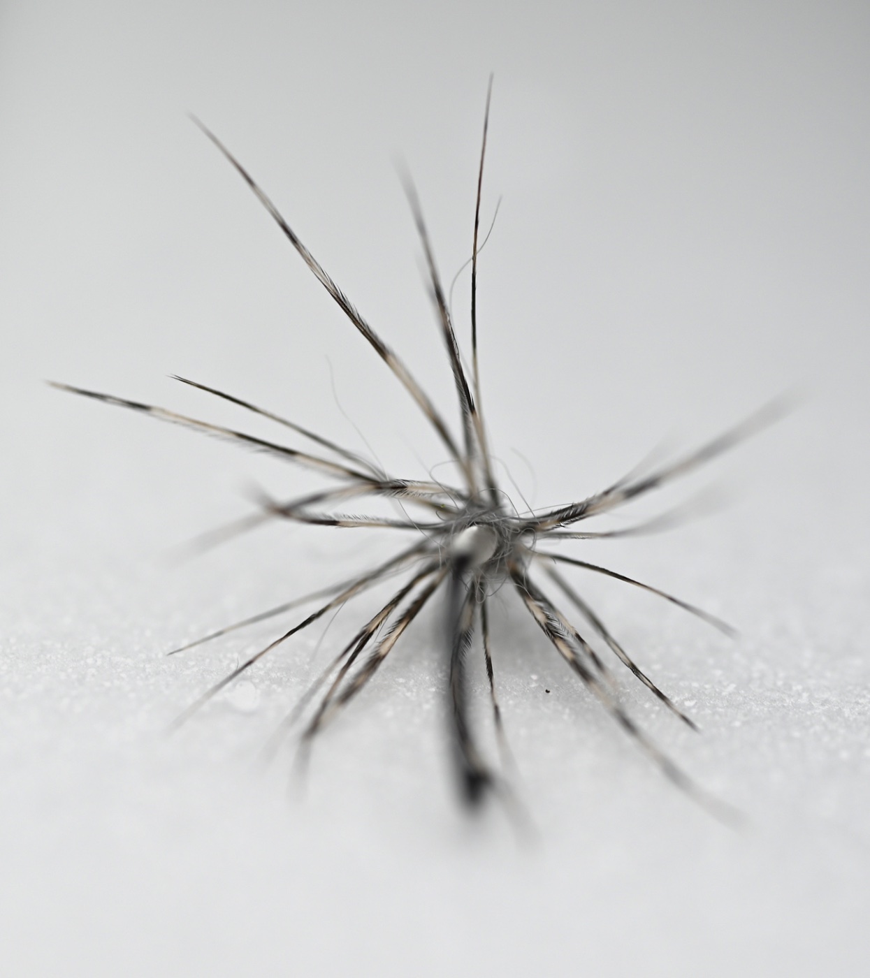 Gray Soft Hackle 2.jpg