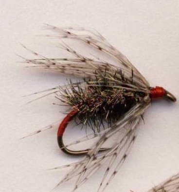 Red Ass Soft Hackle.jpg