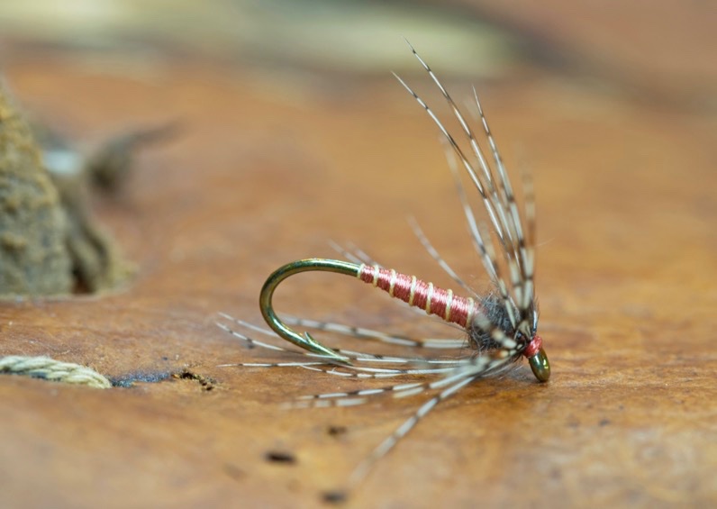 ReduxSalmonberry Fly.jpg