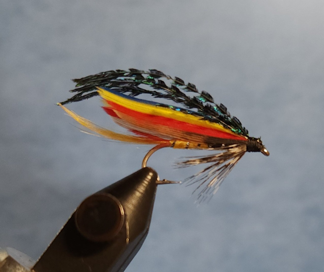 Jock Scott Wet Fly #10.jpg