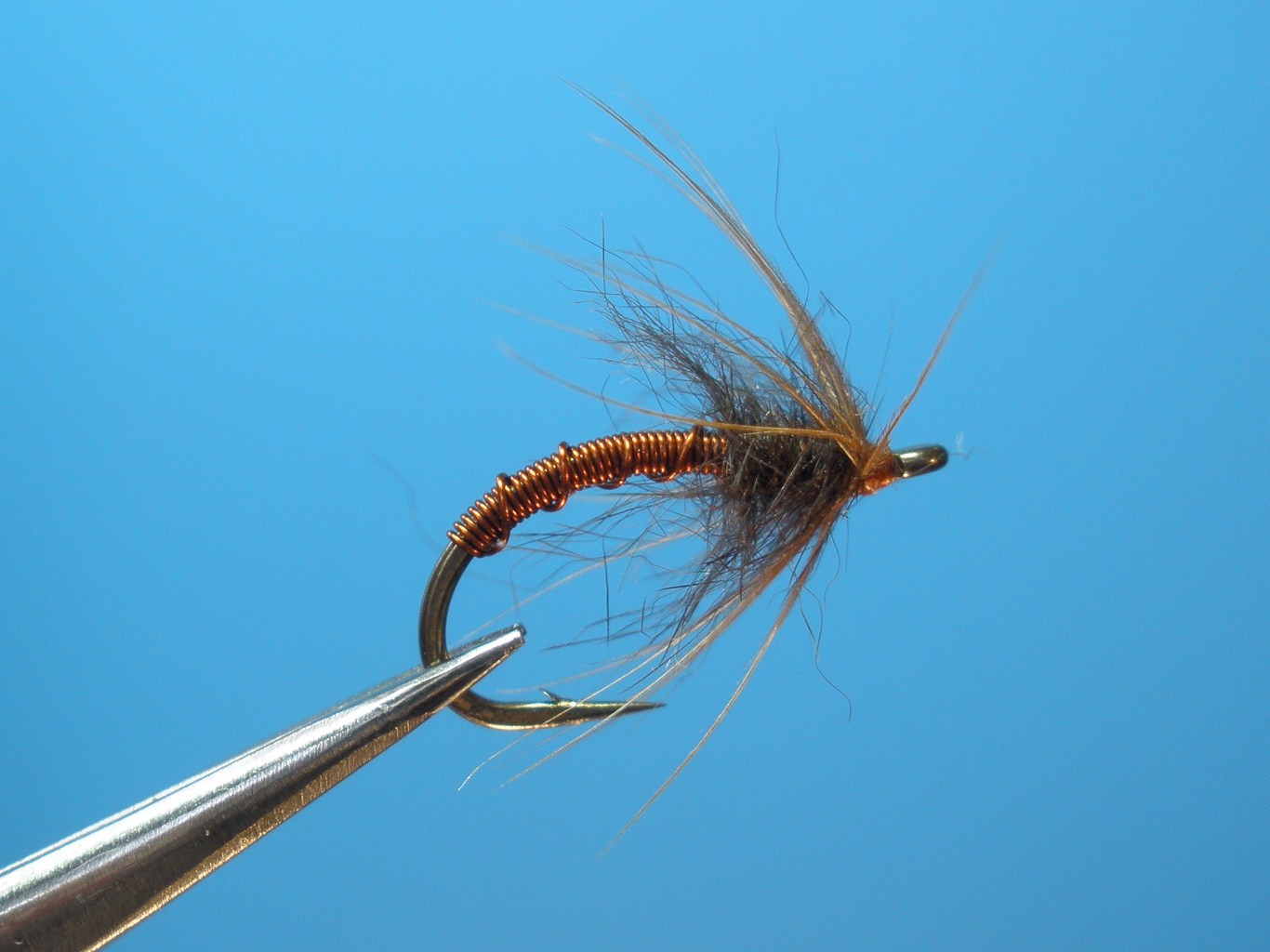 Dark Copper Mole and Hen.JPG